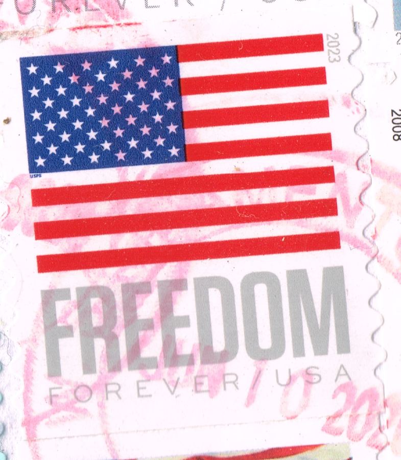 Tarjeta U.S. Flag USPS 2019 #Scott #5342