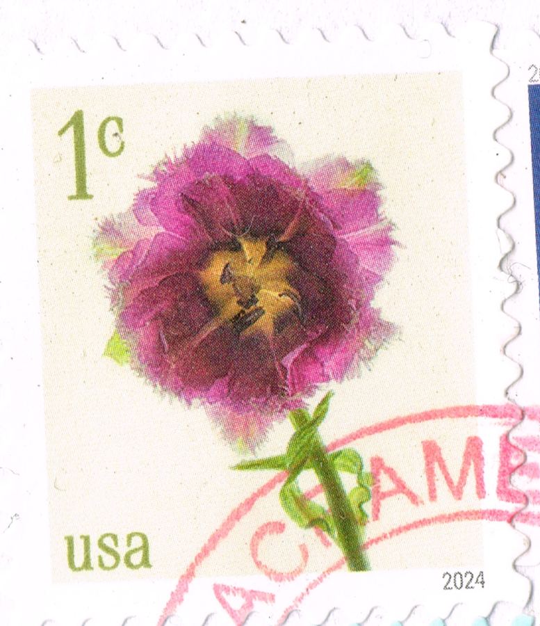 Tarjeta Floral Geometry USPS 2024 #Scott #5700